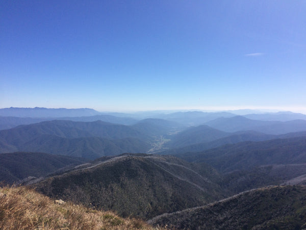 36,000 Steps – Mount Feathertop via The Razorback
