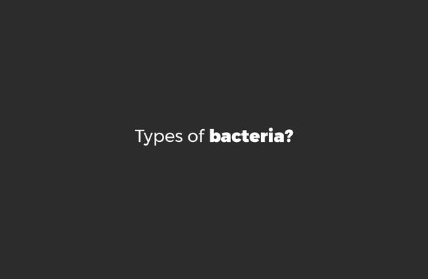 what types of bacteria are in your water bottle